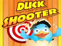 Quack Catch Fun