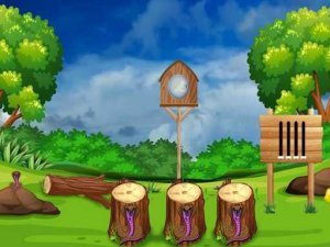 Parrot Rescue Puzzle Game