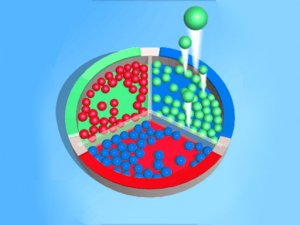 Bead Sort Online Puzzle Game
