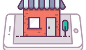 Quiet Venture: Slow-Growth Enterprise Manager